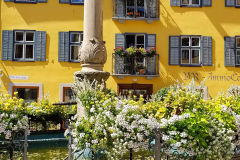 DE_DIN_Dinkelsbuhl_Fountain_051 DE_DIN_Dinkelsbuhl_Fountain_051