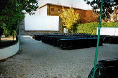 IT_PI_Pisa_Strollin_0331 IT_PI_Pisa_Strollin_0331