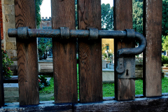 IT_PI_Pisa_Strollin_0351 IT_PI_Pisa_Strollin_0351