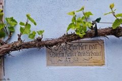 DE_Rot_Sculptures_079