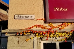 DE_Rot_Signs_n_Such_019