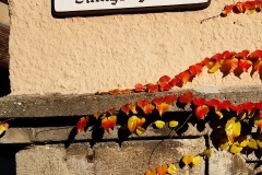 DE_Rot_Signs_n_Such_020