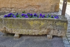 DE_Rot_Street_Strollin_021