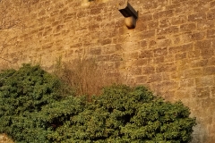 DE_Rot_Walls-n-Towers_012