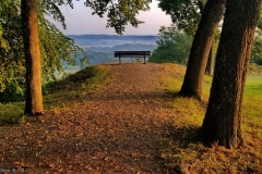 DE_Sch_Schillingsfürst_Kardinalsgarten_017 DE_Sch_Schillingsfürst_Kardinalsgarten_017