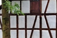 DE_Sch_Schillingsfürst_Strollin_032 DE_Sch_Schillingsfürst_Strollin_032