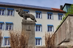 DE_Sch_Schillingsfürst_Strollin_041 DE_Sch_Schillingsfürst_Strollin_041