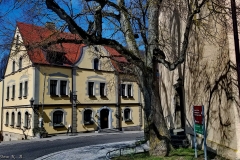 DE_Sch_Schillingsfürst_Strollin_042 DE_Sch_Schillingsfürst_Strollin_042