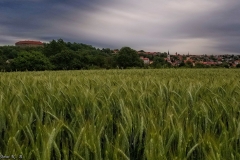 DE_Sch_Shillingsfürst_Schloss_020