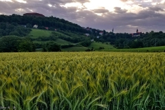 DE_Sch_Shillingsfürst_Schloss_021